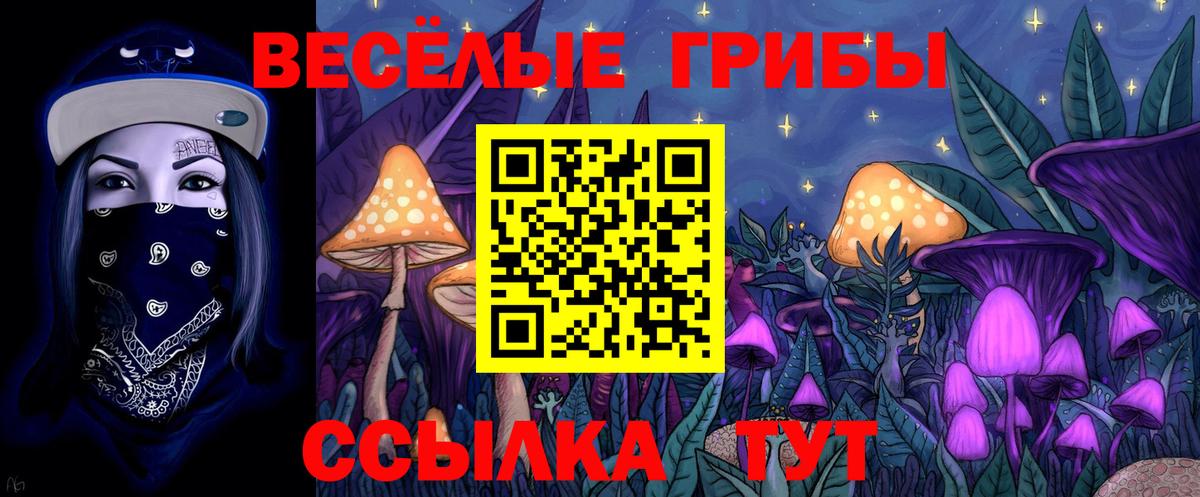 Псилоцибиновые грибы Cubensis  Вход с VPN  Магнитогорск 